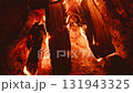 The crackling firewood and dancing flames create a cozy atmosphere in a campfire setting 131943325