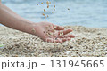 Coral Sand falling from hand in slow motion on a coral beach. Vacation and travel concept. Shot on super slow motion camera 1000 fps. 131945665