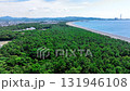 Drone footage of a drone flying over a windbreak forest beside the majestic gravel beach of Enjugahama, Wakayama Drone footage of a drone flying over a windbreak forest beside the majestic gravel beach of Enjugahama, Wakayama 131946108