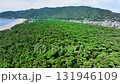 Drone footage of a drone flying over a windbreak forest beside the majestic gravel beach of Enjugahama, Wakayama Drone footage of a drone flying over a windbreak forest beside the majestic gravel beach of Enjugahama, Wakayama 131946109
