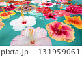 Colorful hibiscus flowers floating on the water - Relaxing video of a tropical resort 131959061