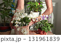 Woman care pot flowers on sunny day. Gardening tools on table. Nature and plant care. Interior design. 131961839