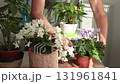 Woman care pot flowers on sunny day. Gardening tools on table. Nature and plant care. Interior design. 131961841