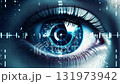 生体認証と目のスキャン、セキュリティのイメージ動画 131973942