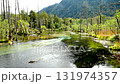 Kamikochi Karasawa Marsh Kamikochi Karasawa Marsh 131974357