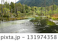 Kamikochi Karasawa Marsh Kamikochi Karasawa Marsh 131974358
