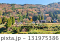 秋の田舎風景 131975386