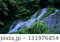 初夏の夢の滝 131976854