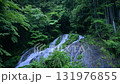 初夏の夢の滝 131976855