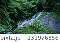 初夏の夢の滝 131976856