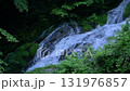 初夏の夢の滝 131976857