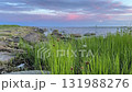 A serene, low-angle shot of an industrial waterfront in Parnu, Estonia 131988276