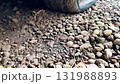 completely flat tire on a car, road breakdown, accident 131988893