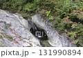 Pot hall 131990894
