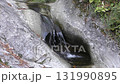 Pot hall 131990895