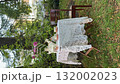 Outdoor garden tea setup with floral teapot and cups on lace tablecloth under tree video 132002023