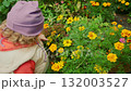 Child exploring vibrant flowers in a lush garden during a sunny day in early spring 132003527
