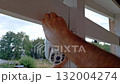 Installing outdoor security camera with hand tools on a bright day 132004274