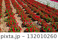 四季彩の丘 132010260
