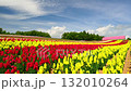 四季彩の丘 132010264