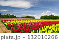 四季彩の丘 132010266