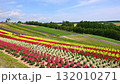 四季彩の丘 132010271