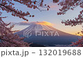 Mount Fuji  132019688