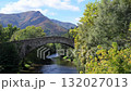 France, Pyrenees-Atlantiques, Saint-Etienne de Baigorry, Roman bridge 132027013