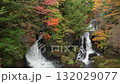 日光龍頭瀑布、初秋的紅葉 132029077