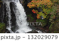 日光龍頭瀑布，初秋的紅葉（局部） 132029079