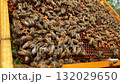 Close-up view of a wooden beehive frame covered with hundreds of honey bees actively working on the honeycomb cells during beekeeping inspection. 132029650