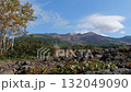 十勝山望岳台十月景緻－秋葉在晴朗的秋日天空下翩翩起舞 132049090