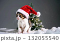 A winter scene of a kitten in a Santa hat hopping around (silent) 132055540
