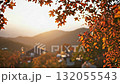 A mountain village and row of houses shrouded in autumn leaves in the morning mist (silent) 132055543