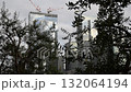 【東京・皇居外苑】都心と松林 132064194