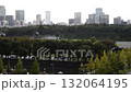 【東京・皇居外苑】お濠と松林 132064195
