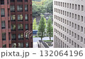 【東京・皇居外苑】お濠と松林 132064196