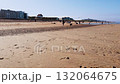 Low-angle view of a beach with dunes. The waves of the sea reach the beach during a sunny autumn day. People are walking and running on the beach. In the distance, you can see apartments and house on 132064675