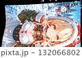 Christmas image: A beautiful girl in a Santa costume printed on a flag. Snow falling and swaying in the wind. Vertical material. Loopable. 132066802
