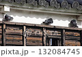 Pigeons grooming themselves (Shoryuji Castle, Nagaokakyo City, Kyoto Prefecture) 132084745