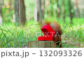 Squirrel investigating red jewelry box on grassy stump 132093326