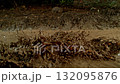 Super Slow Motion Shot of Flying and Splashing Mud in Nature at 1000fps. 132095876