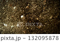 Super Slow Motion Shot of Exploding Soil with Rocks Towards Camera at 1000fps. 132095878