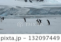 Big group of penguins running Antarctic snowy field. Snow-covered landscape with mountains and polar ocean coast. Sea birds colony migration. Explore wildlife sea birds in Antarctica. Aerial footage 132097449