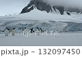Big group of penguins running Antarctic snowy field. Snow-covered landscape with mountains and polar ocean coast. Sea birds colony migration. Explore wildlife sea birds in Antarctica. Aerial footage 132097450