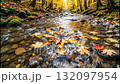 Animated autumn leaves form a creative sun pattern in a forest stream. Vertical video of colorful foliage floating on flowing water. Magical nature and seasonal change concept 132097954