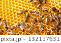 Many bees crawl along the honey frame in the hive 132117631