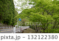 道路と街路樹　奥多摩周遊道路 132122380