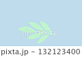 Minimalistic green leaf silhouette on light blue background, elegant botanical abstract animation. 132123400