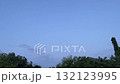 Sunrise natural leaves and tree background 132123995